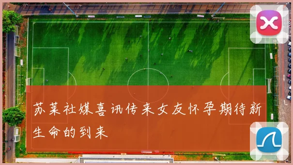 苏莱社媒喜讯传来女友怀孕期待新生命的到来