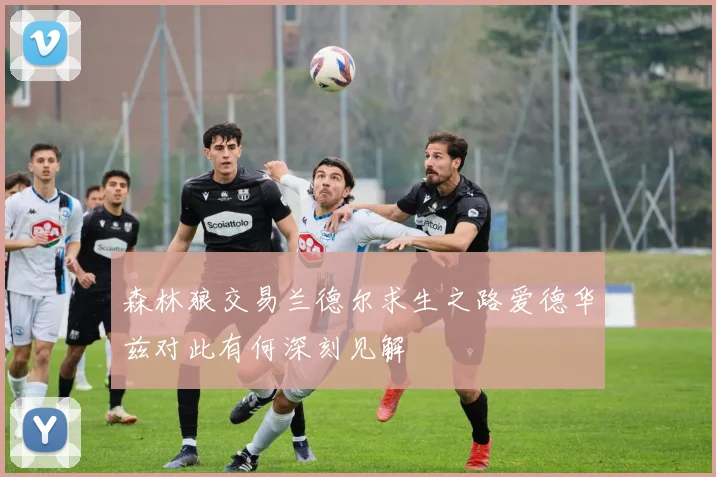 森林狼交易兰德尔求生之路爱德华兹对此有何深刻见解