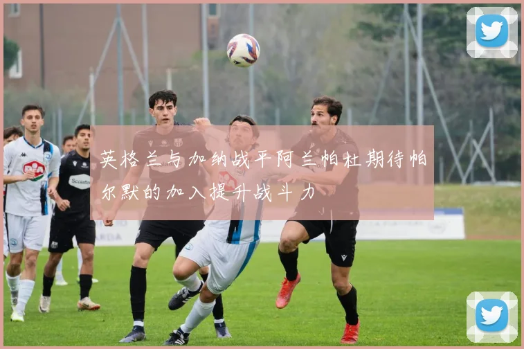 英格兰与加纳战平阿兰帕杜期待帕尔默的加入提升战斗力