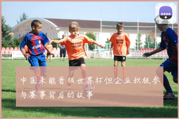 中国未能晋级世界杯但企业积极参与赛事背后的故事